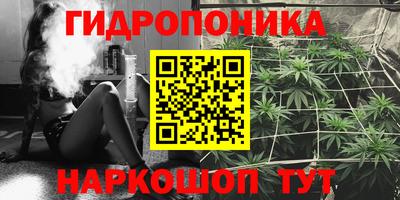 синтетический гашиш Кингисепп
