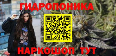 синтетический гашиш Кингисепп