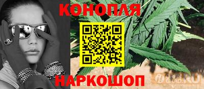 амф Кимры
