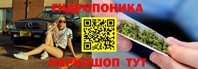 амф Кимры